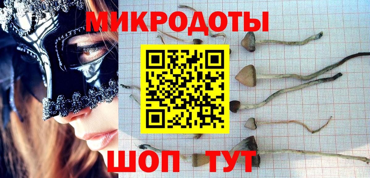 Псилоцибиновые грибы Psilocybe Красный Сулин